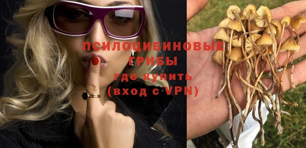 СК Армянск